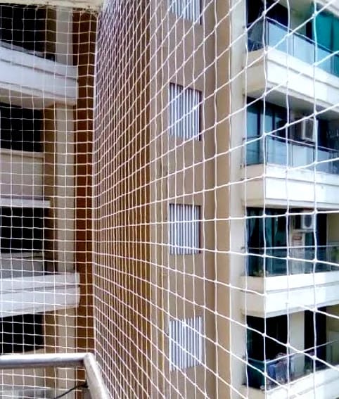 Birds and Monkey (Pigeon) Safety Net